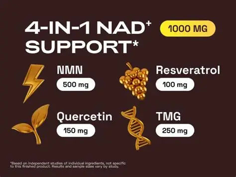 Cata-Kor NMN Supplement