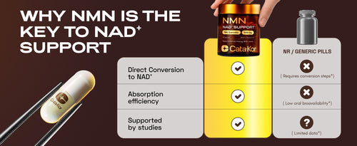 Cata-Kor NMN Supplement